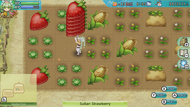 cooking license rune factory 4 review